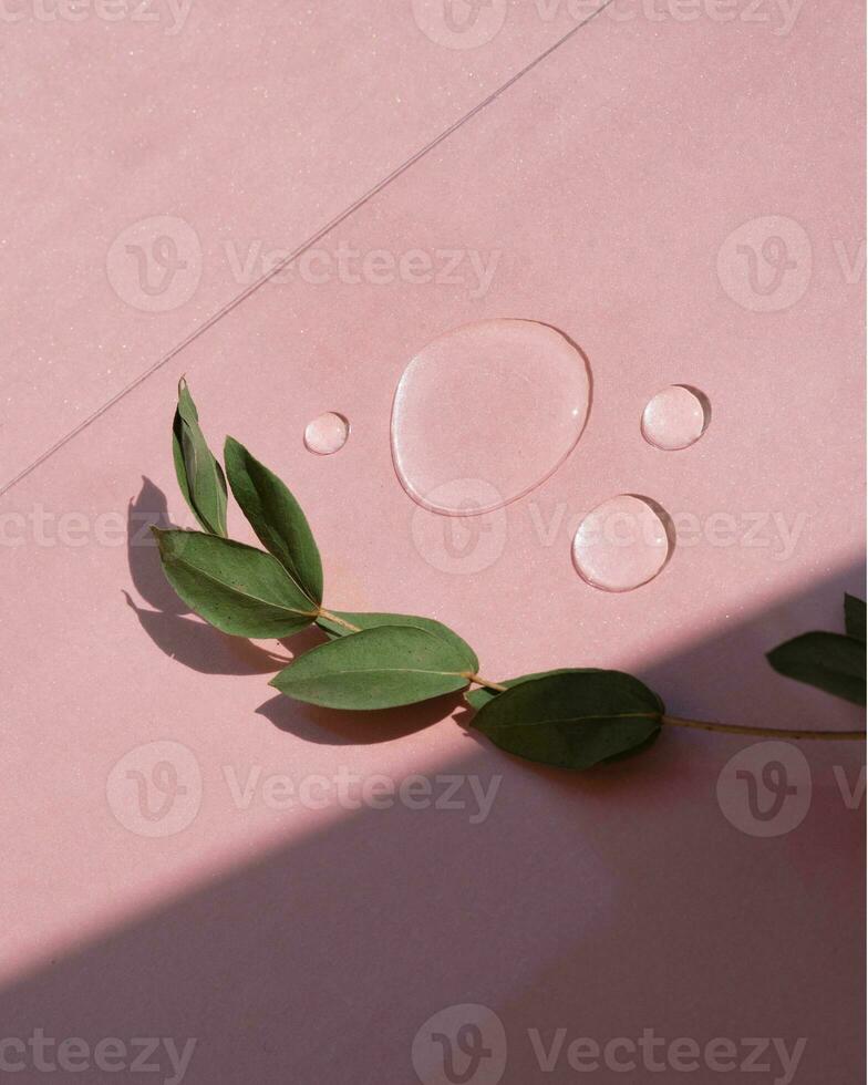 Three drops of cosmetics or perfume and a twig of a plant on a pink background. photo
