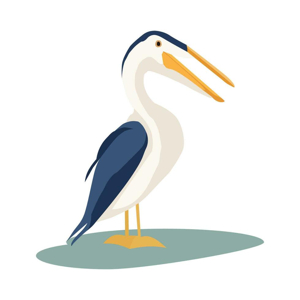A pelican bird vector illustration