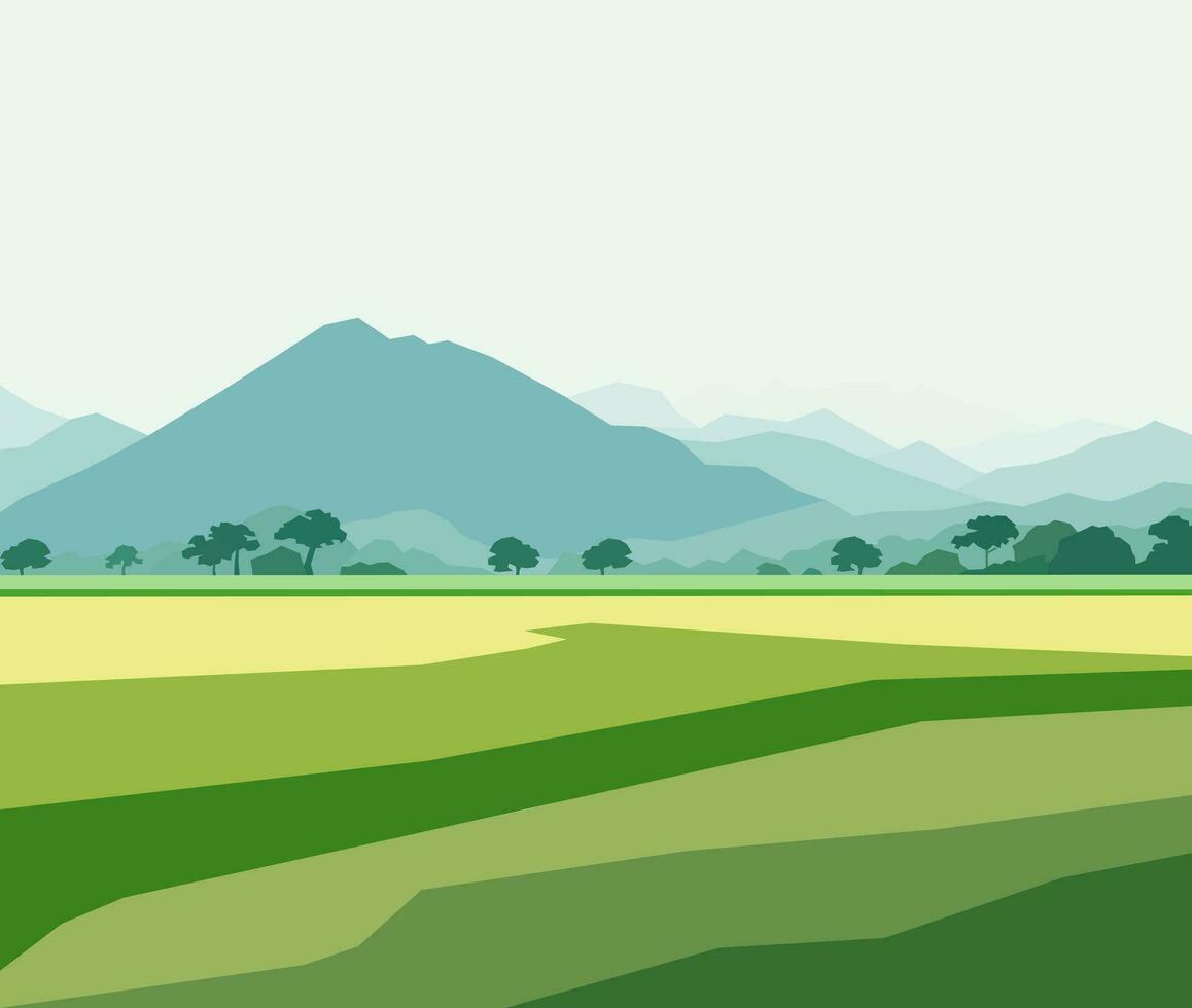 hermosa campo de arroz paisaje con montañas vector ilustración