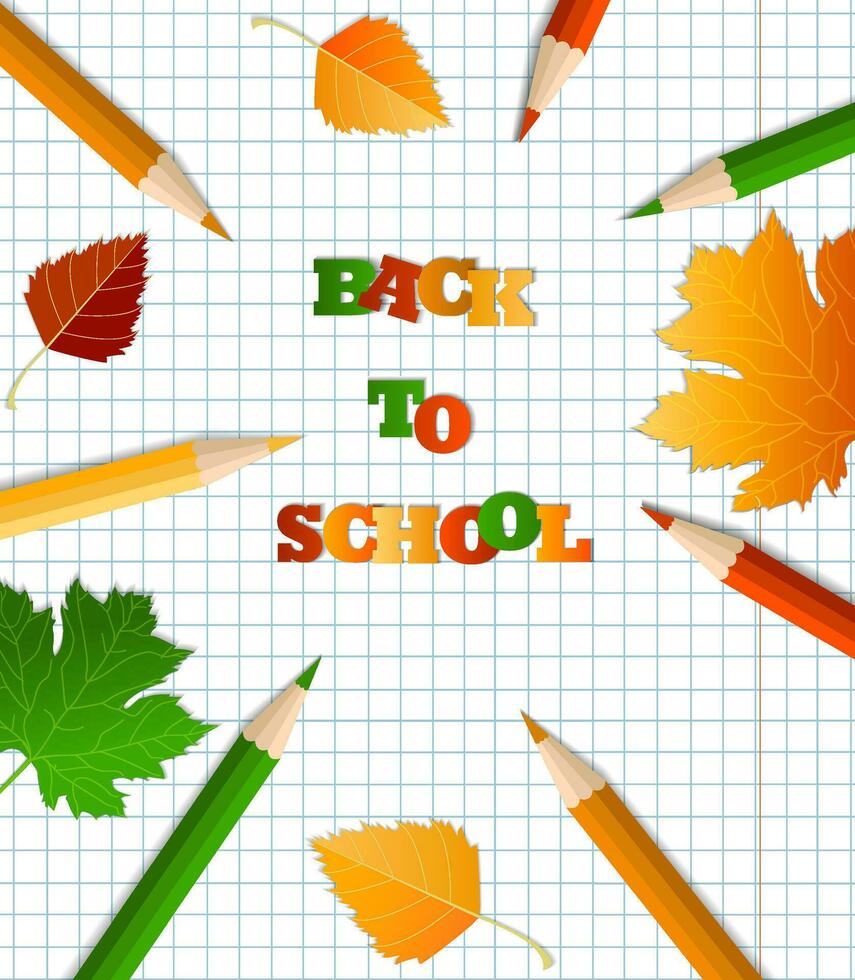 Colored pencils with an eraser, school supplies, stationery, a checkered notebook. The concept of schooling, back to school, first time to school. autumn, autumn leaves vector