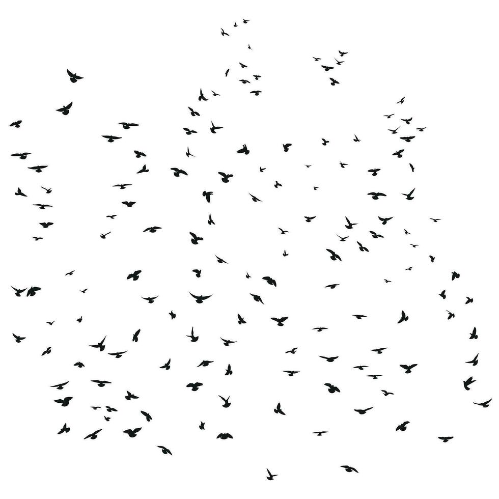 Silhouette sketch of a flock of flying birds, flight in different positions. Takeoff, flying, flight, flutter, hover, soaring, landing vector
