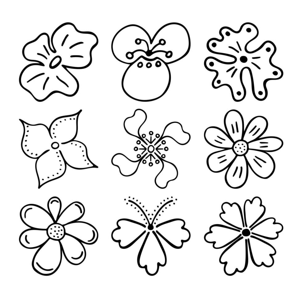 Sketch doodle outline flowers. Hand drawn drawing of plant buds during flowering. Petal silhouettes. Isolated vector. vector