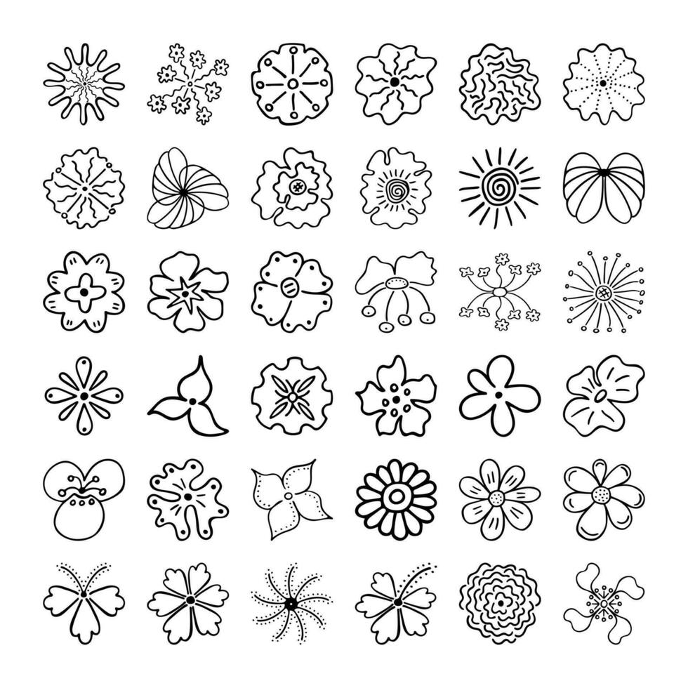 incompleto lineal imagen de siluetas de flores mano dibujado dibujo de planta brotes durante floración vector