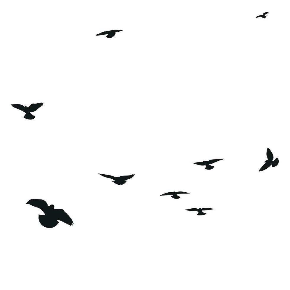 Silhouette sketch of a flock of flying birds, flight in different positions. Hover, soaring, landing, flying, flutter vector