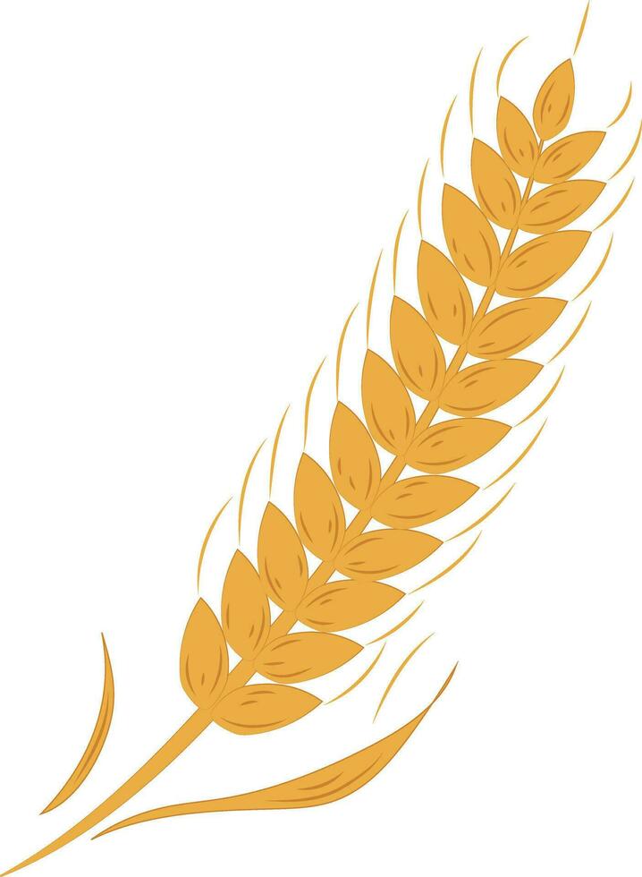 Golden Agriculture Wheat Ears Illustration Graphic Element Art Card vector