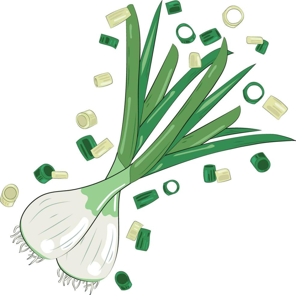 Chopped Green Onion Element Chives Slices Illustration Graphic Element Art Card vector