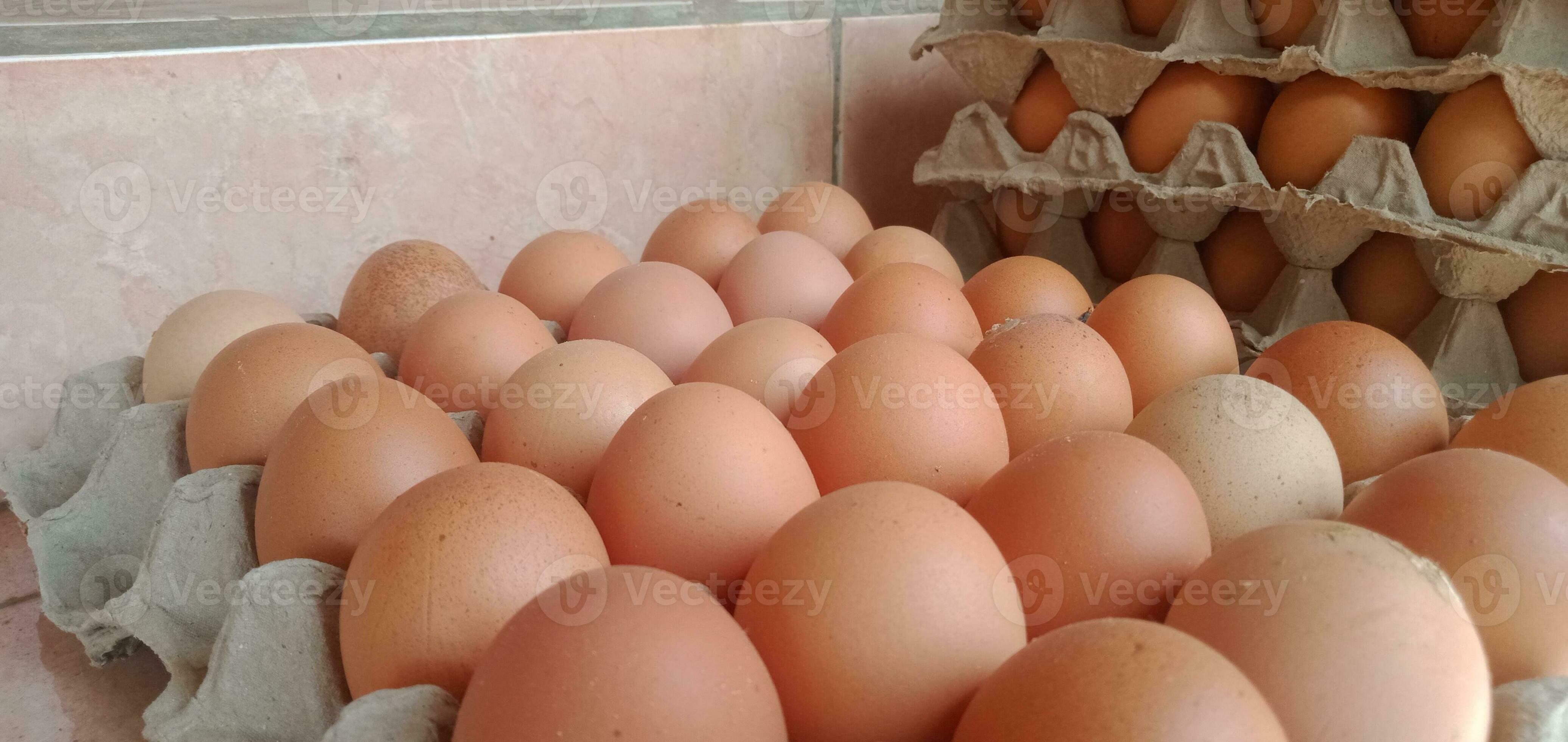 staple food photography of a bunch of eggs on the egg tray 25712233