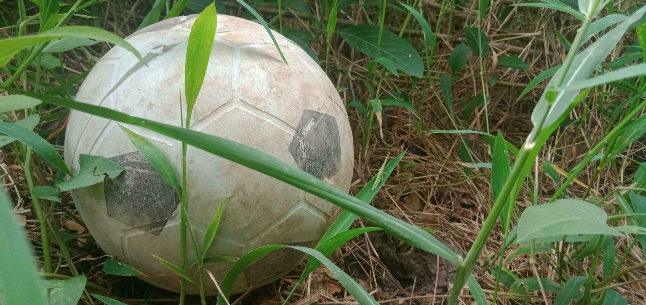 un abandonado antiguo pelota en el césped foto