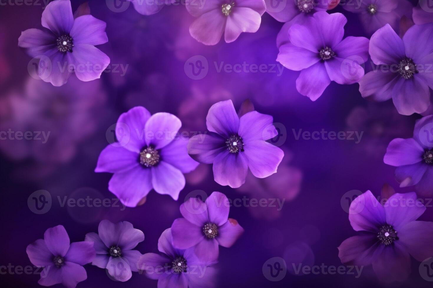 flowers nature floral blossom leaf background summer space copy spring green beautiful. . photo