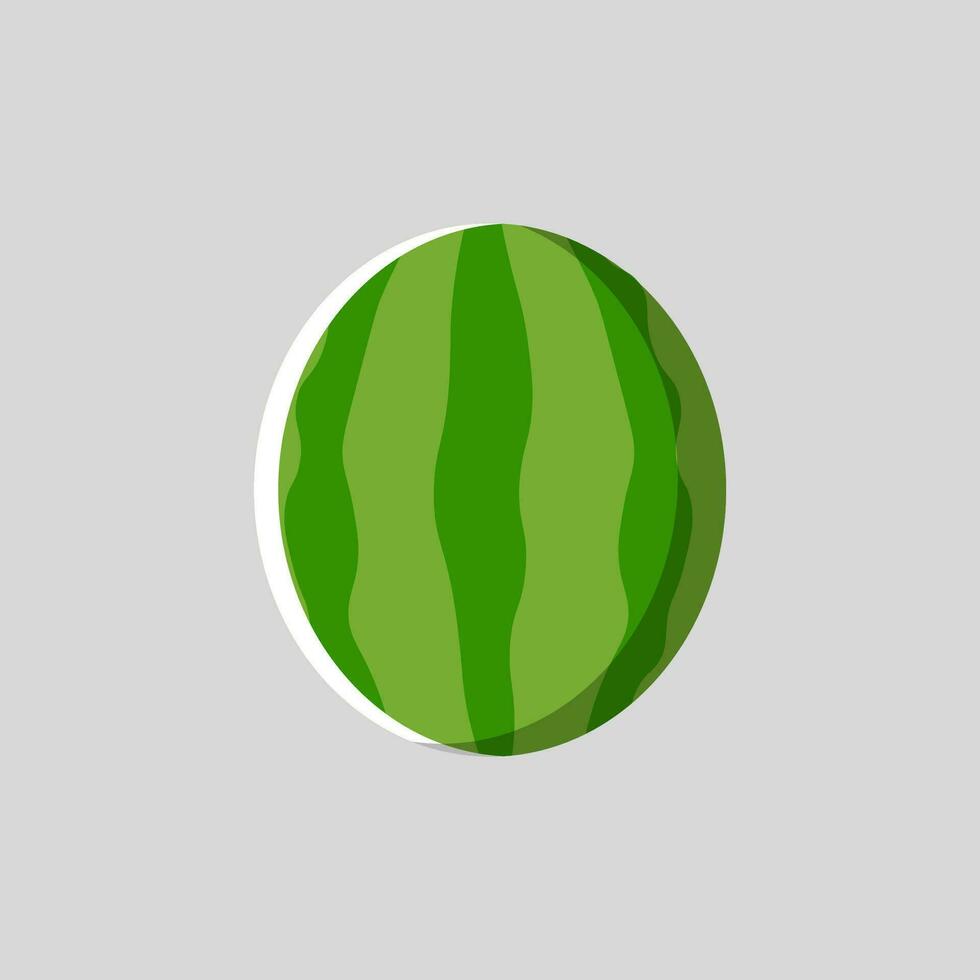 Watermelon fruit with flat design style vector