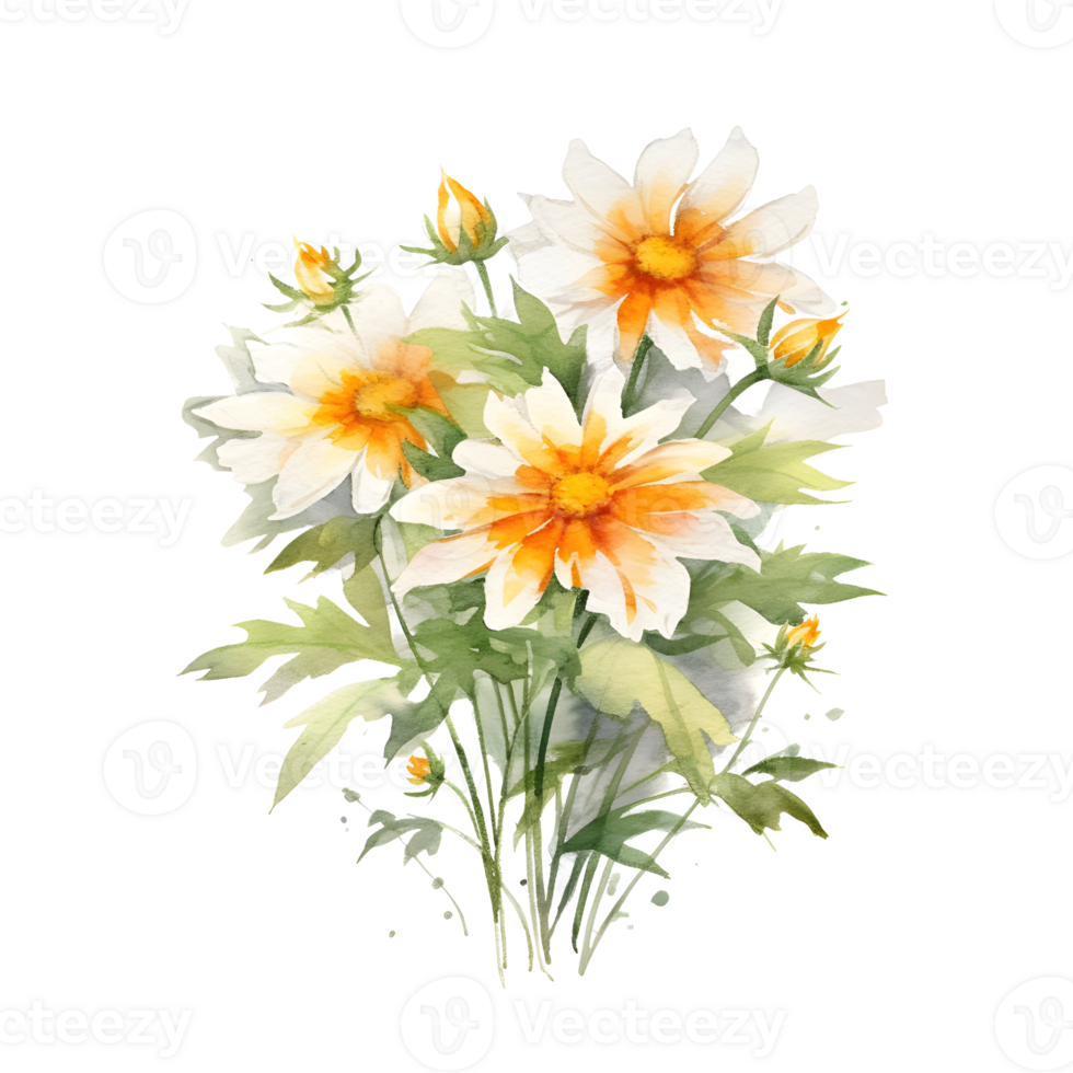 Watercolor floral bouquet illustration, wedelia flower. png