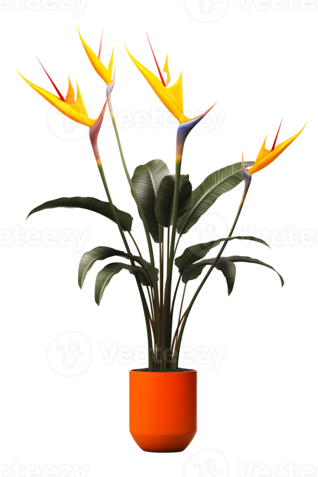 vogel van paradijs fabriek Aan pot. strelitzia. ai gegenereerd png