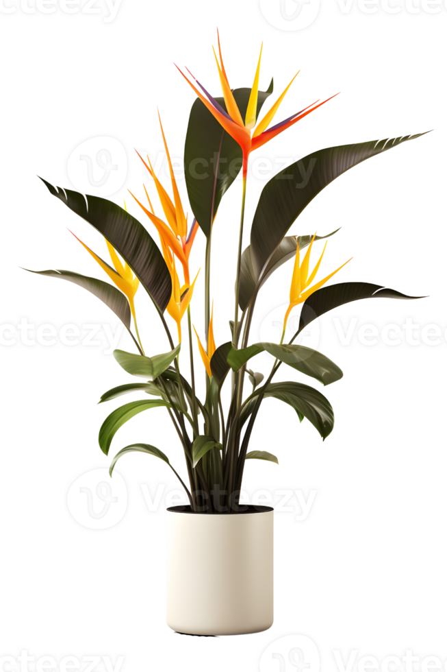 vogel van paradijs fabriek Aan pot. strelitzia. ai gegenereerd png