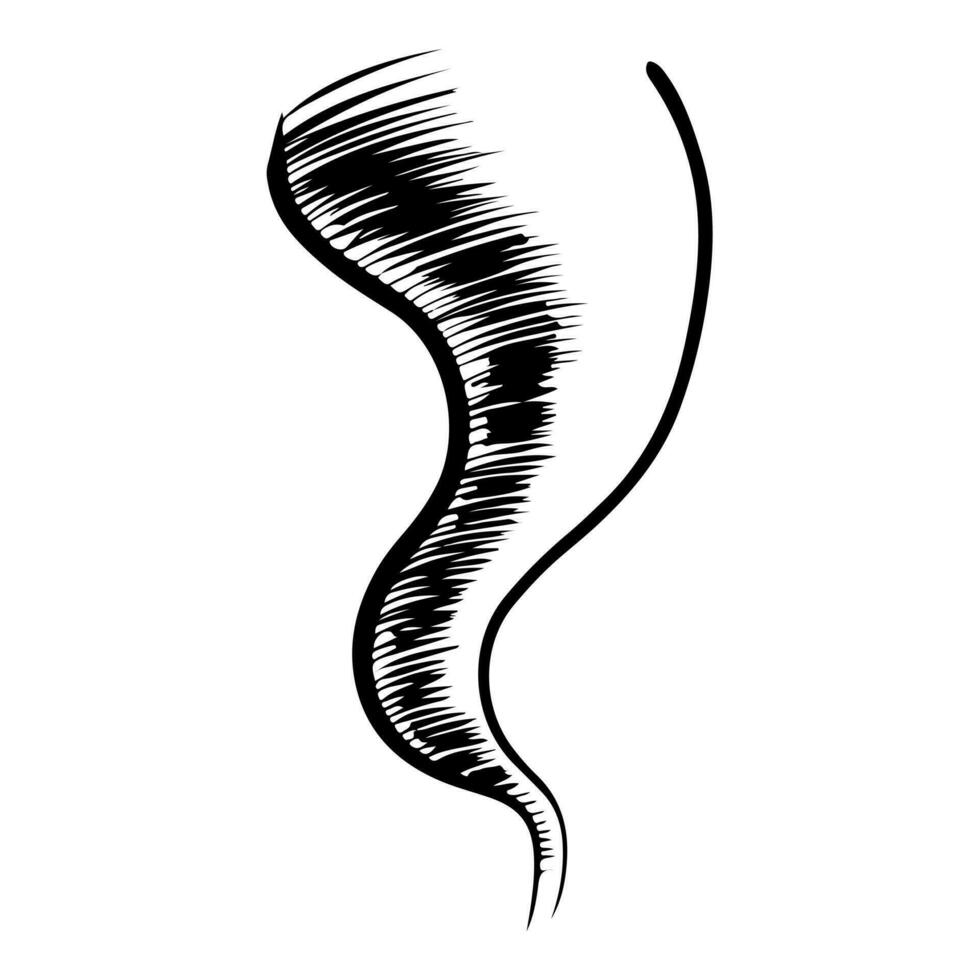 Doodle sketch style of Tornado cartoon hand drawn illustration for concept design. vector