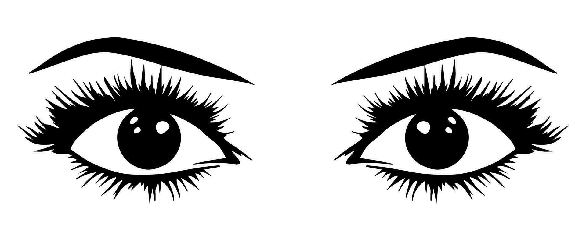 pair of eyes with eyebrows eyelashes vector graphic resources