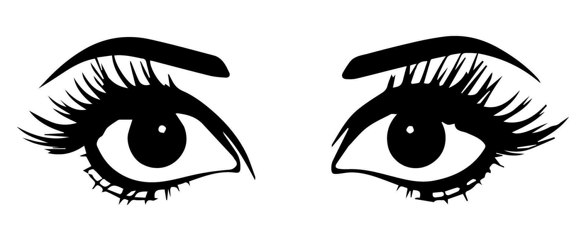 pair of eyes with eyebrows eyelashes vector graphic resources