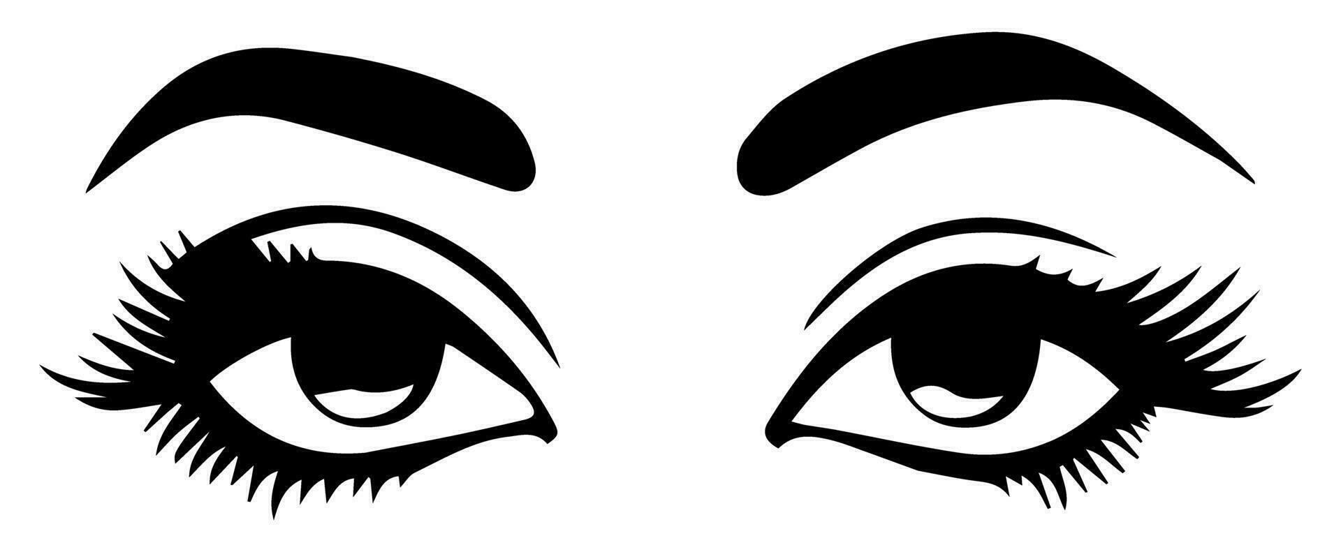pair of eyes with eyebrows eyelashes vector graphic resources