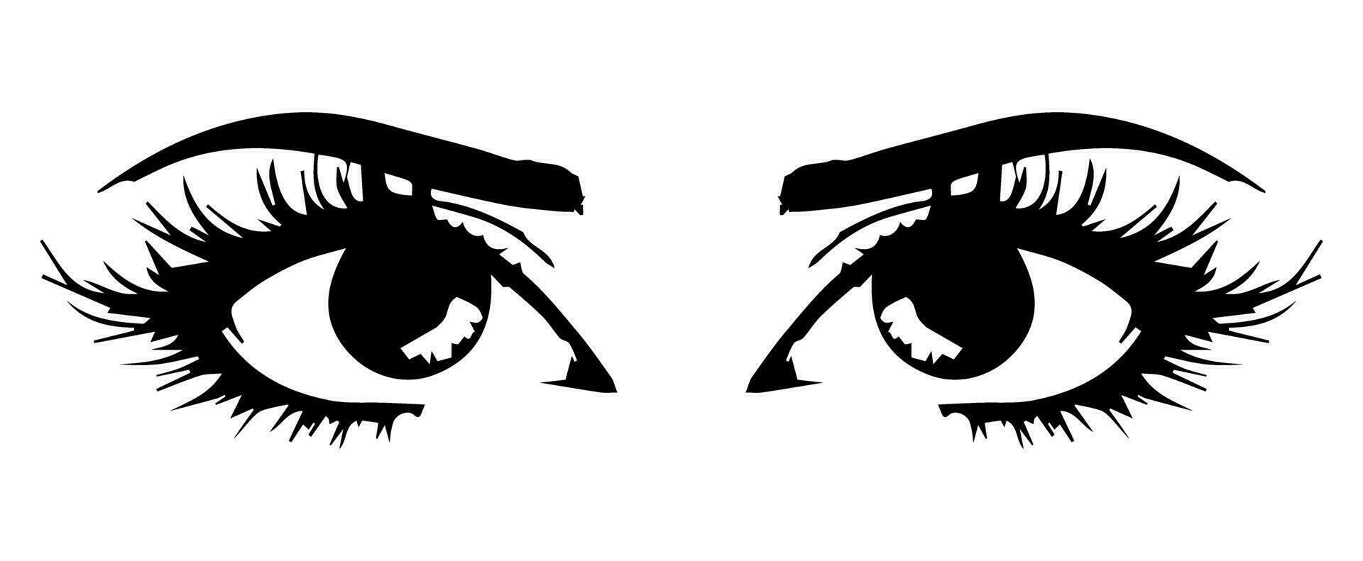 pair of eyes with eyebrows eyelashes vector graphic resources