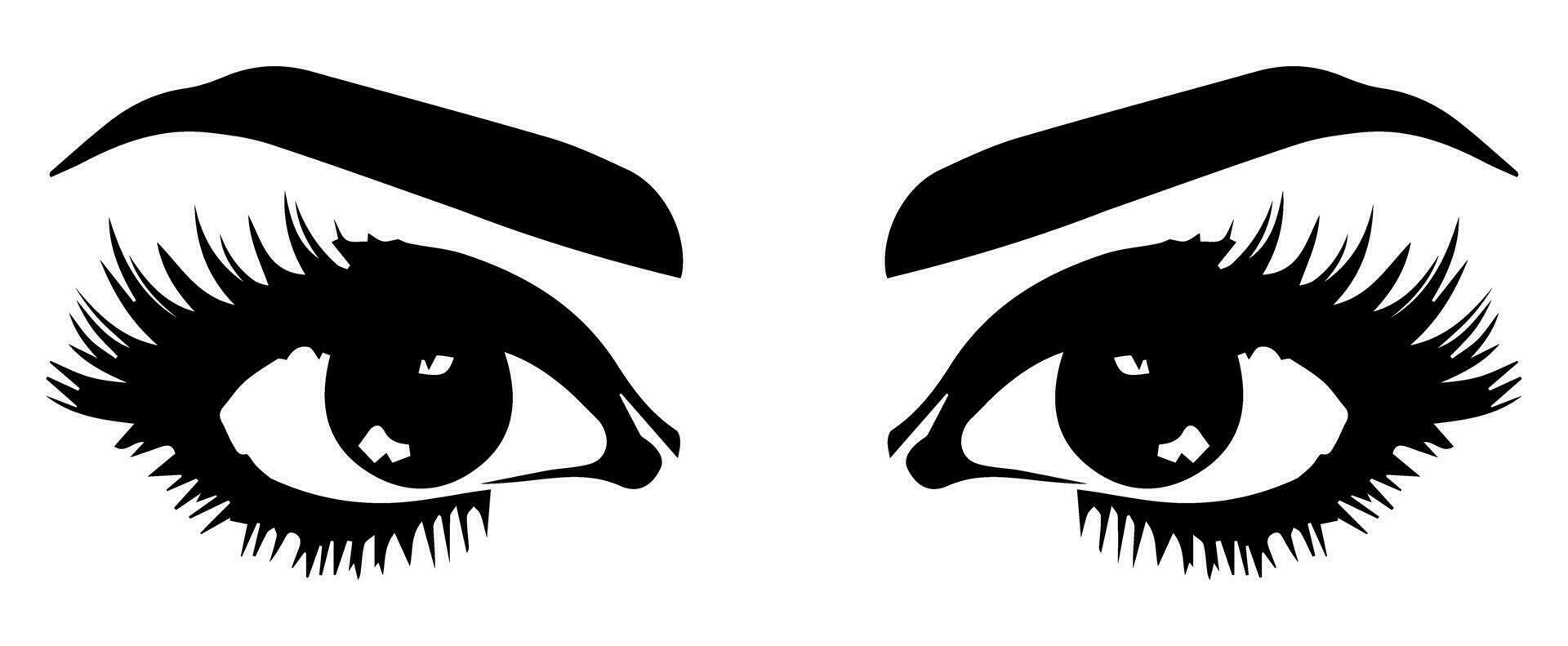 pair of eyes with eyebrows eyelashes vector graphic resources