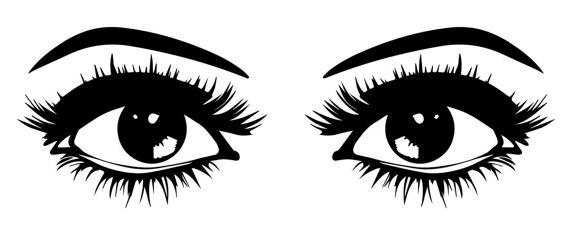 pair of eyes with eyebrows eyelashes vector graphic resources