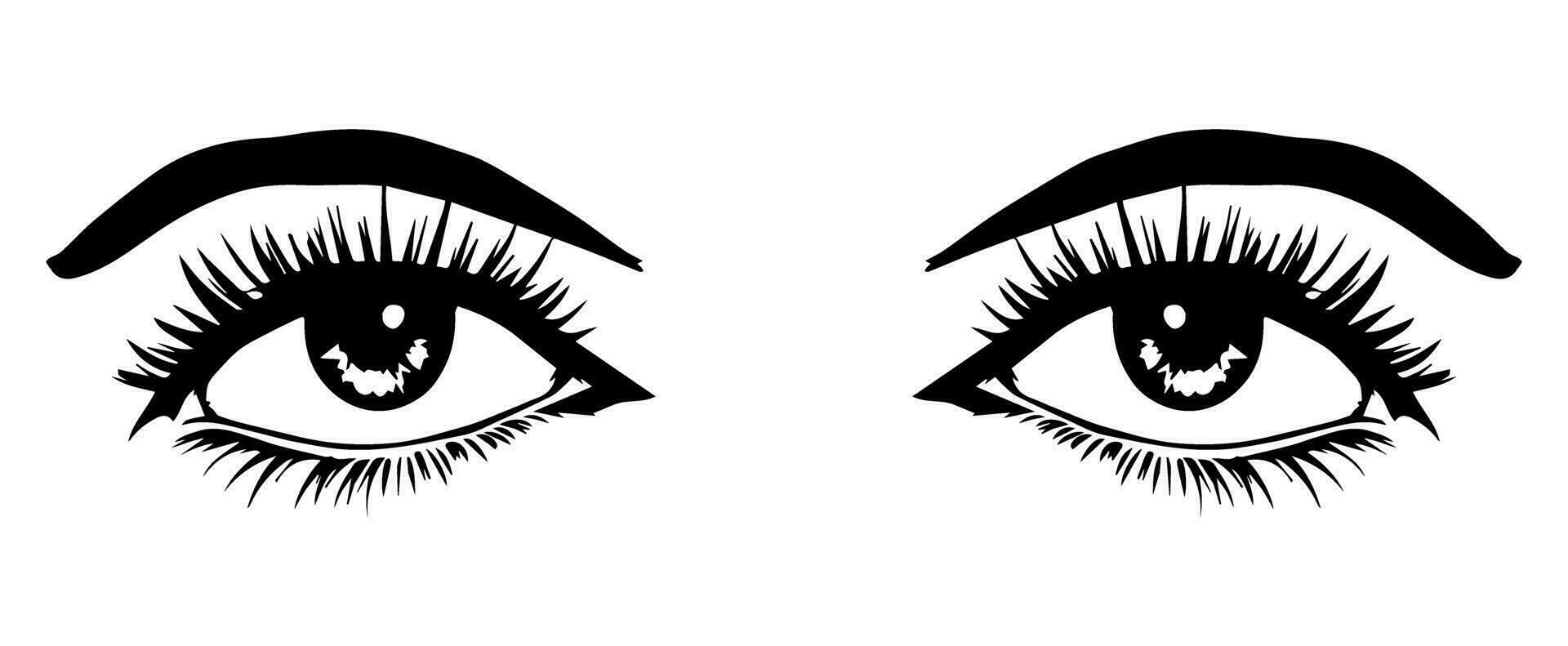 pair of eyes with eyebrows eyelashes vector graphic resources