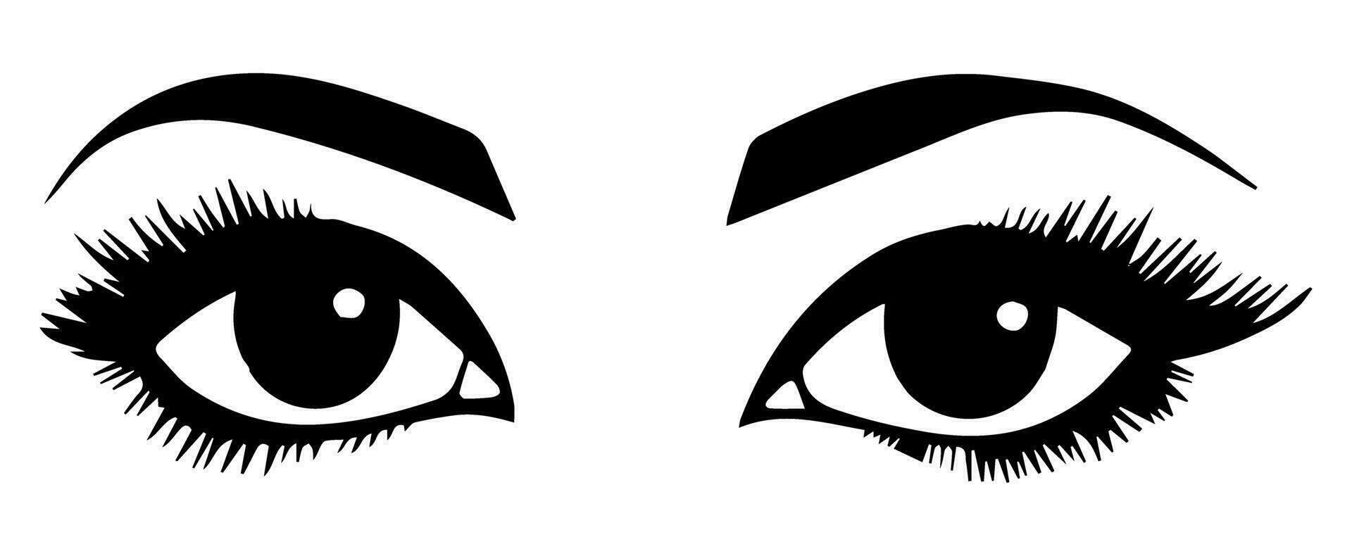 pair of eyes with eyebrows eyelashes vector graphic resources