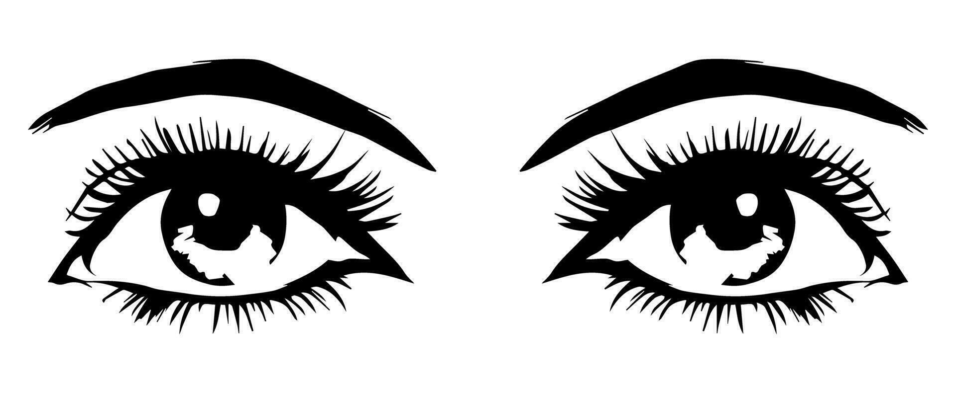 pair of eyes with eyebrows eyelashes vector graphic resources