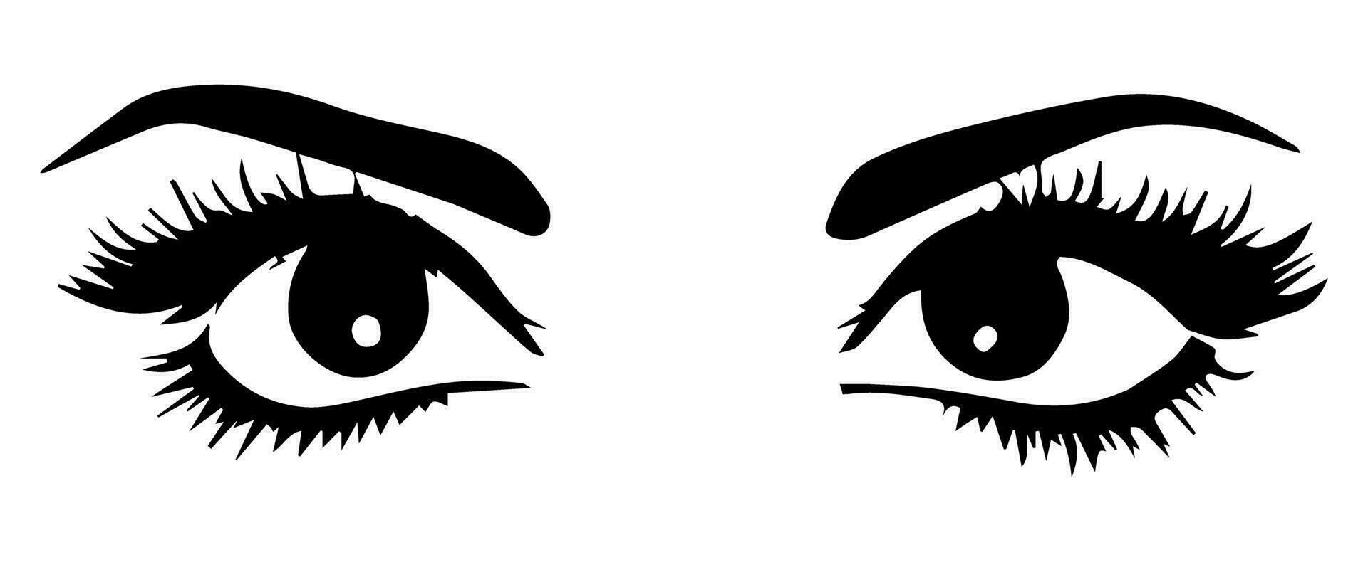 pair of eyes with eyebrows eyelashes vector graphic resources