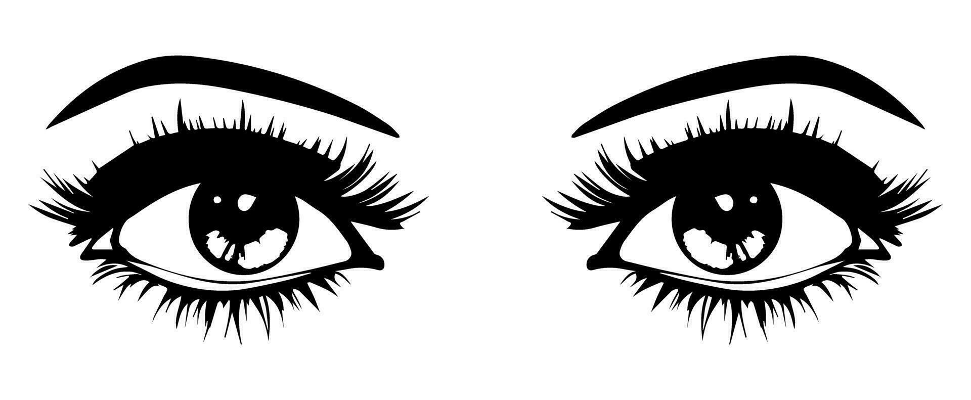 pair of eyes with eyebrows eyelashes vector graphic resources
