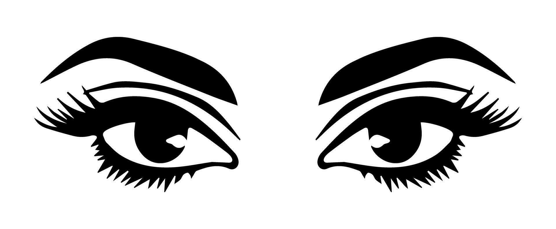pair of eyes with eyebrows eyelashes vector graphic resources