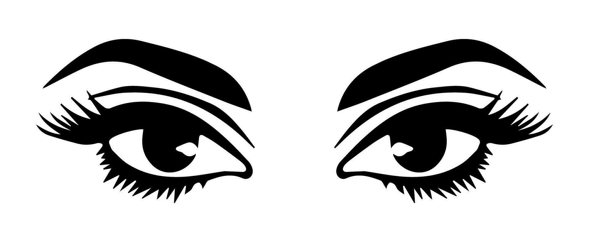 pair of eyes with eyebrows eyelashes vector graphic resources