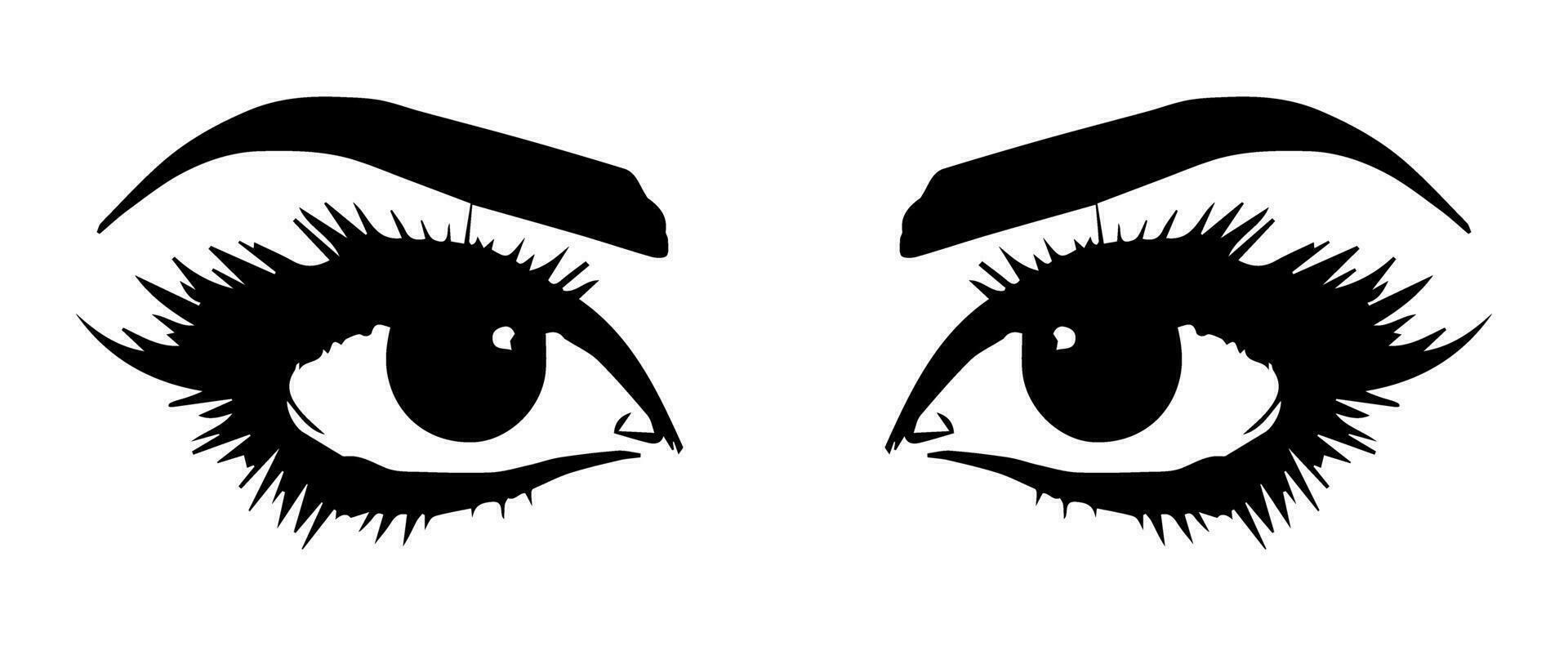 pair of eyes with eyebrows eyelashes vector graphic resources