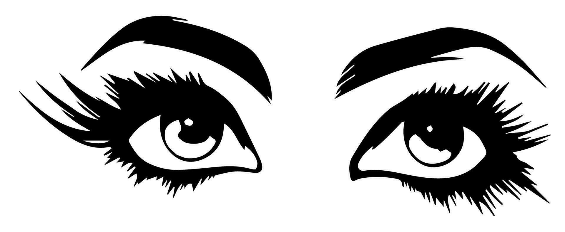 pair of eyes with eyebrows eyelashes vector graphic resources