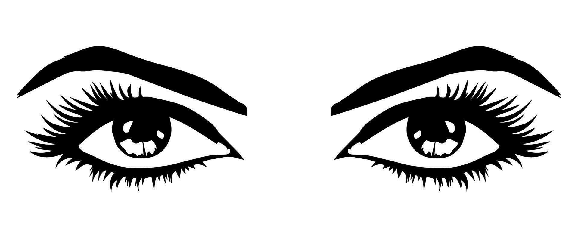 pair of eyes with eyebrows eyelashes vector graphic resources