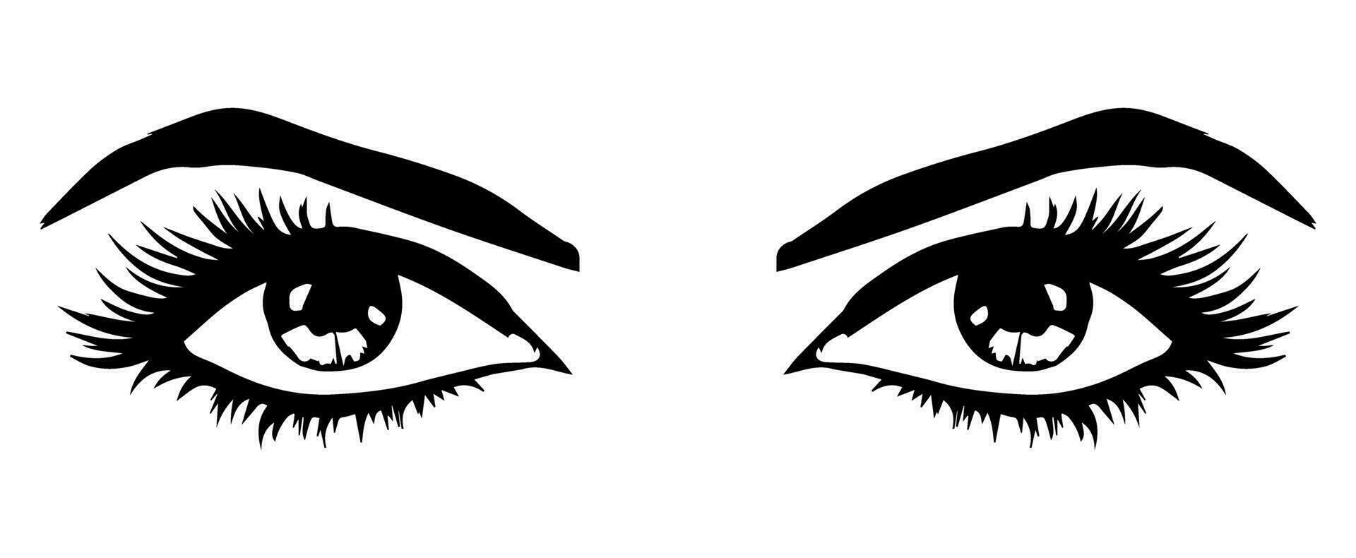 pair of eyes with eyebrows eyelashes vector graphic resources