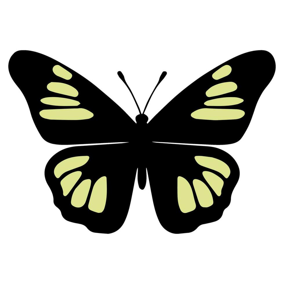 Butterfly beautiful wings, spring nature, vector illustration