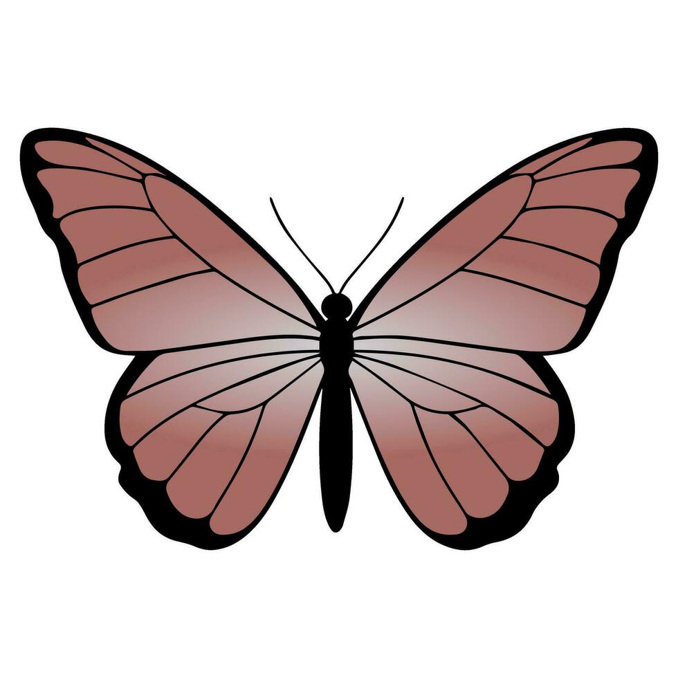 Butterfly beautiful wings, spring nature, vector illustration