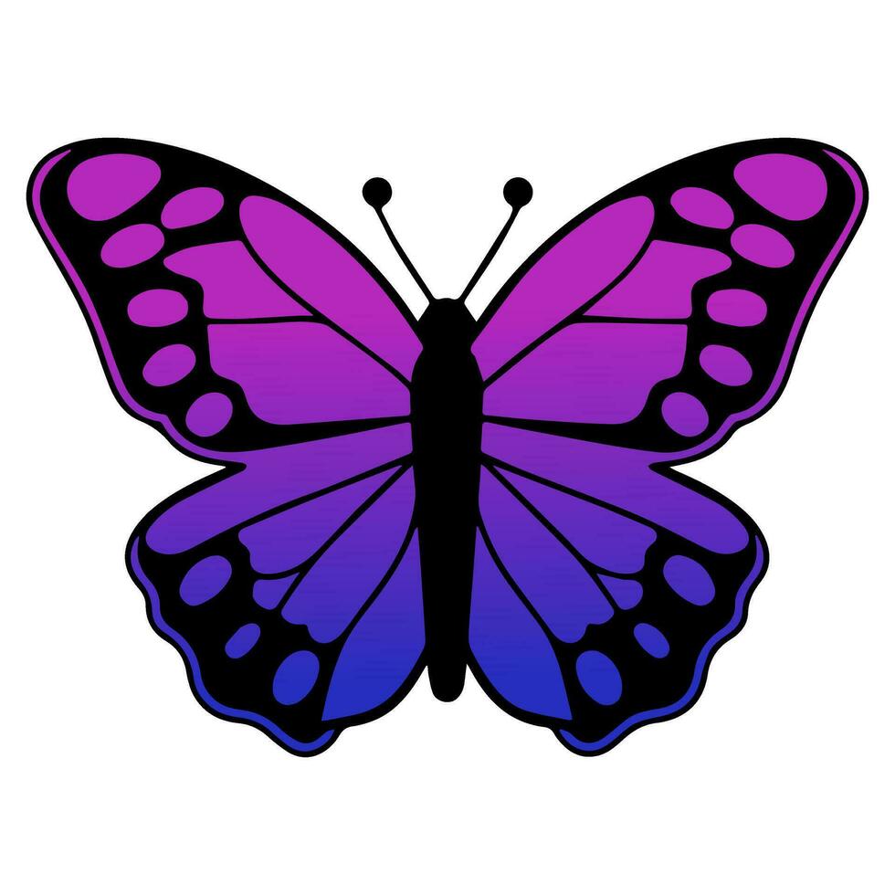 Butterfly beautiful wings, spring nature, vector illustration