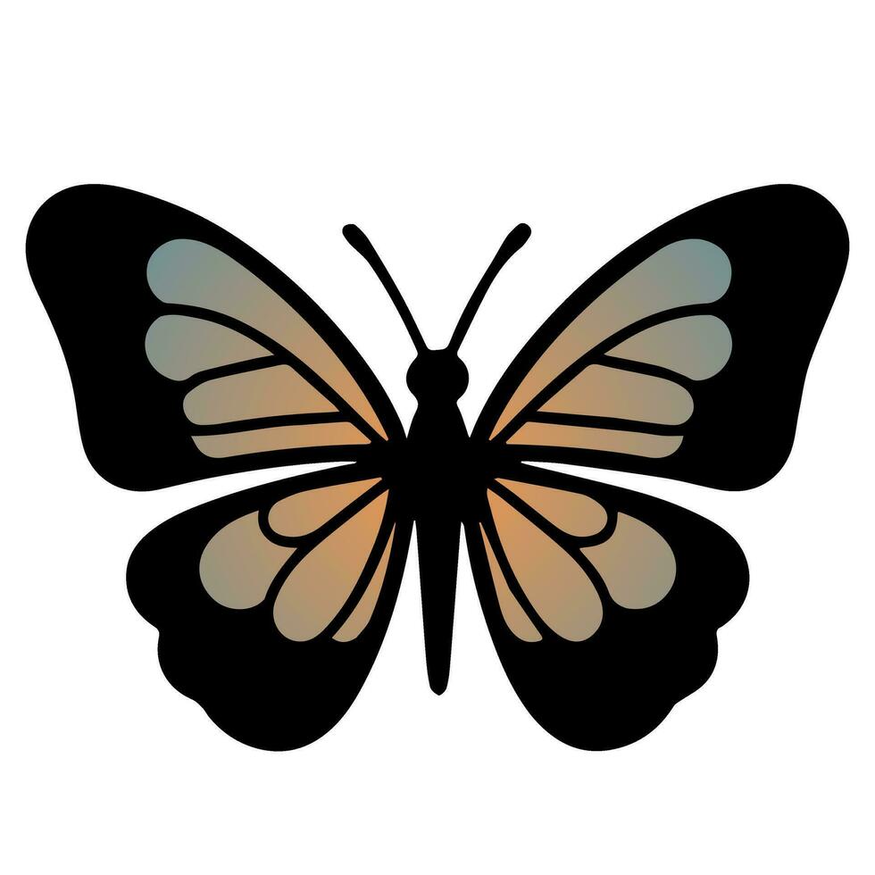Butterfly beautiful wings, spring nature, vector illustration