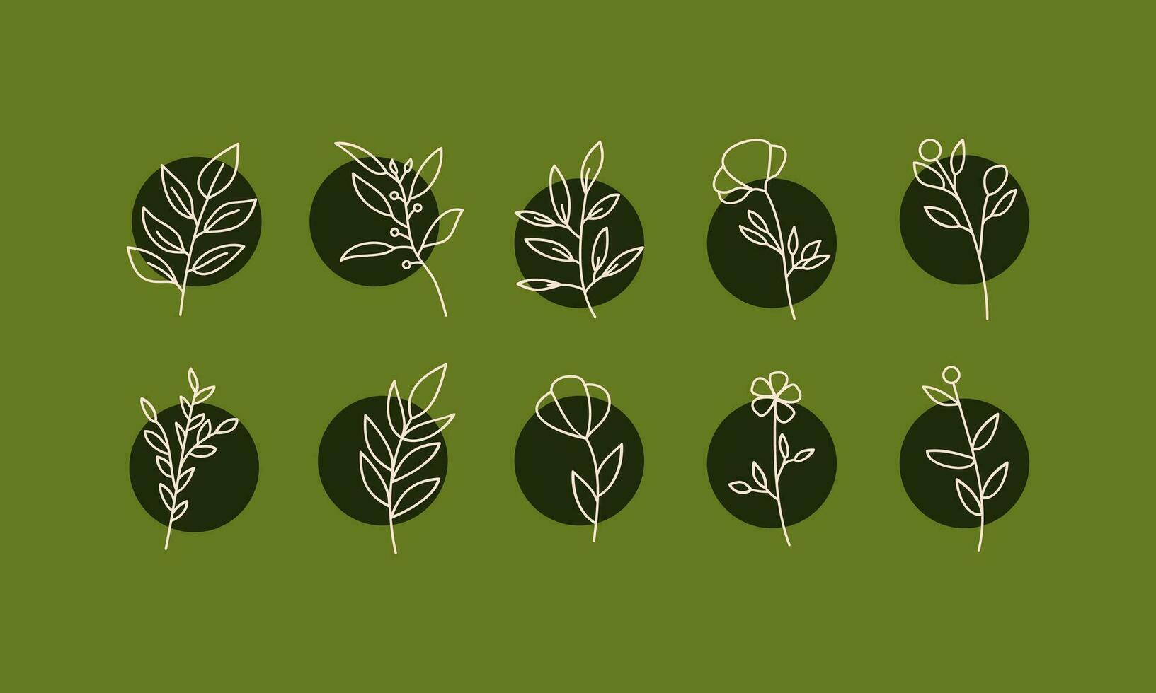 Set of leaf elements illustration. Leaves elements illustration. Collections of leaf element isolated on green background. vector