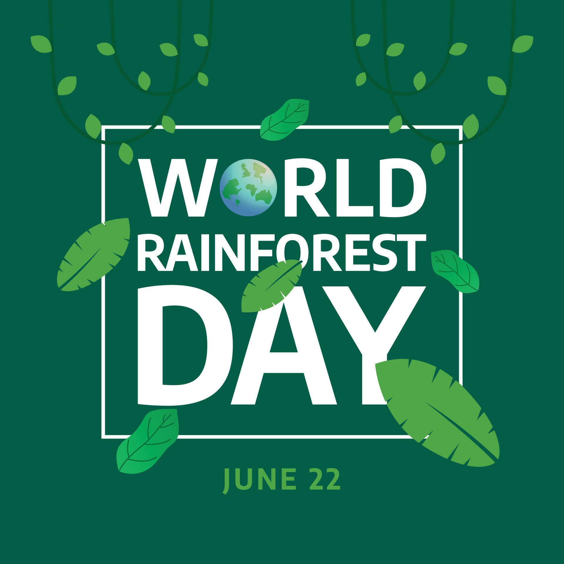 The Hidden World Of Rainforest Plant Interactions