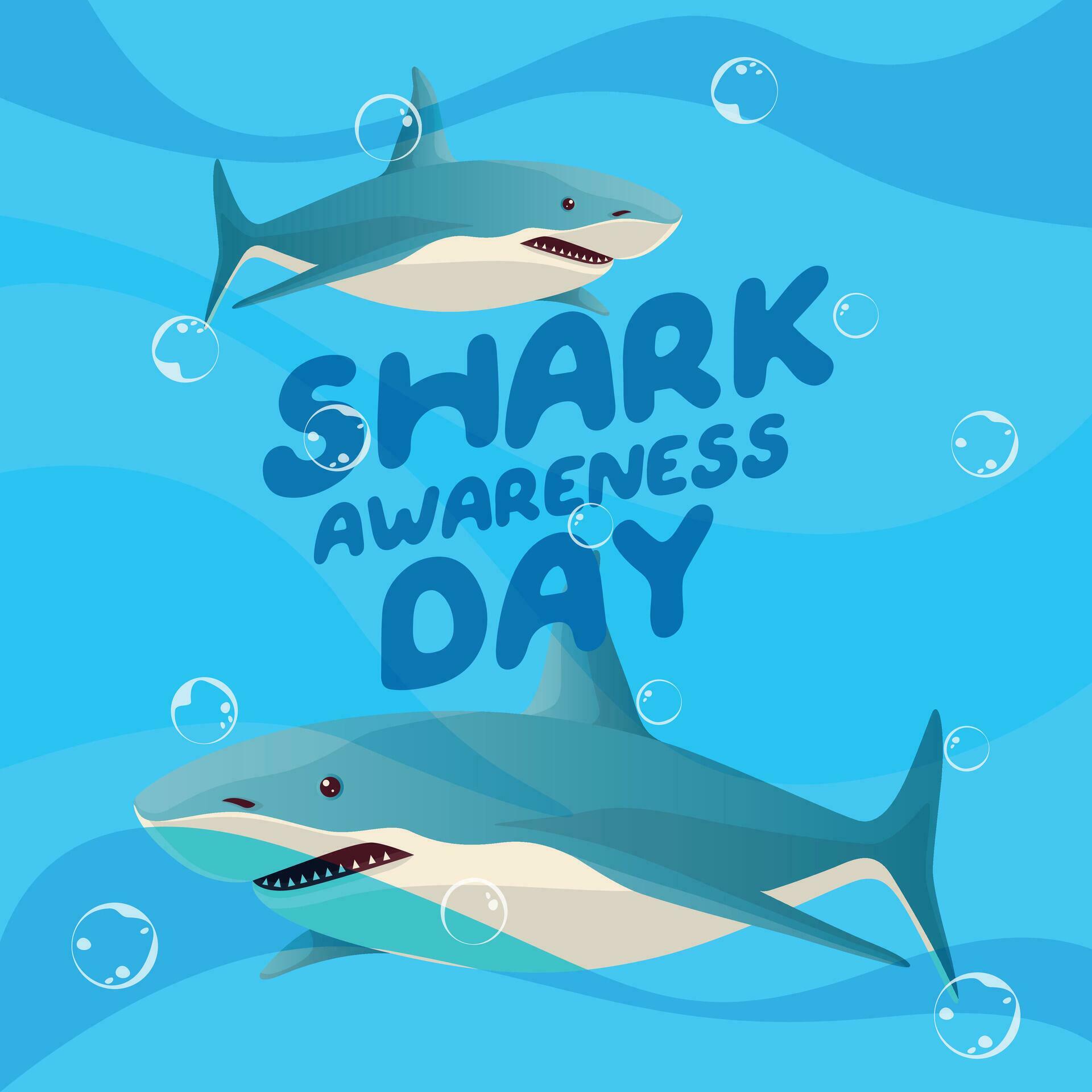 vector graphic of Shark Awareness Day good for Shark Awareness Day