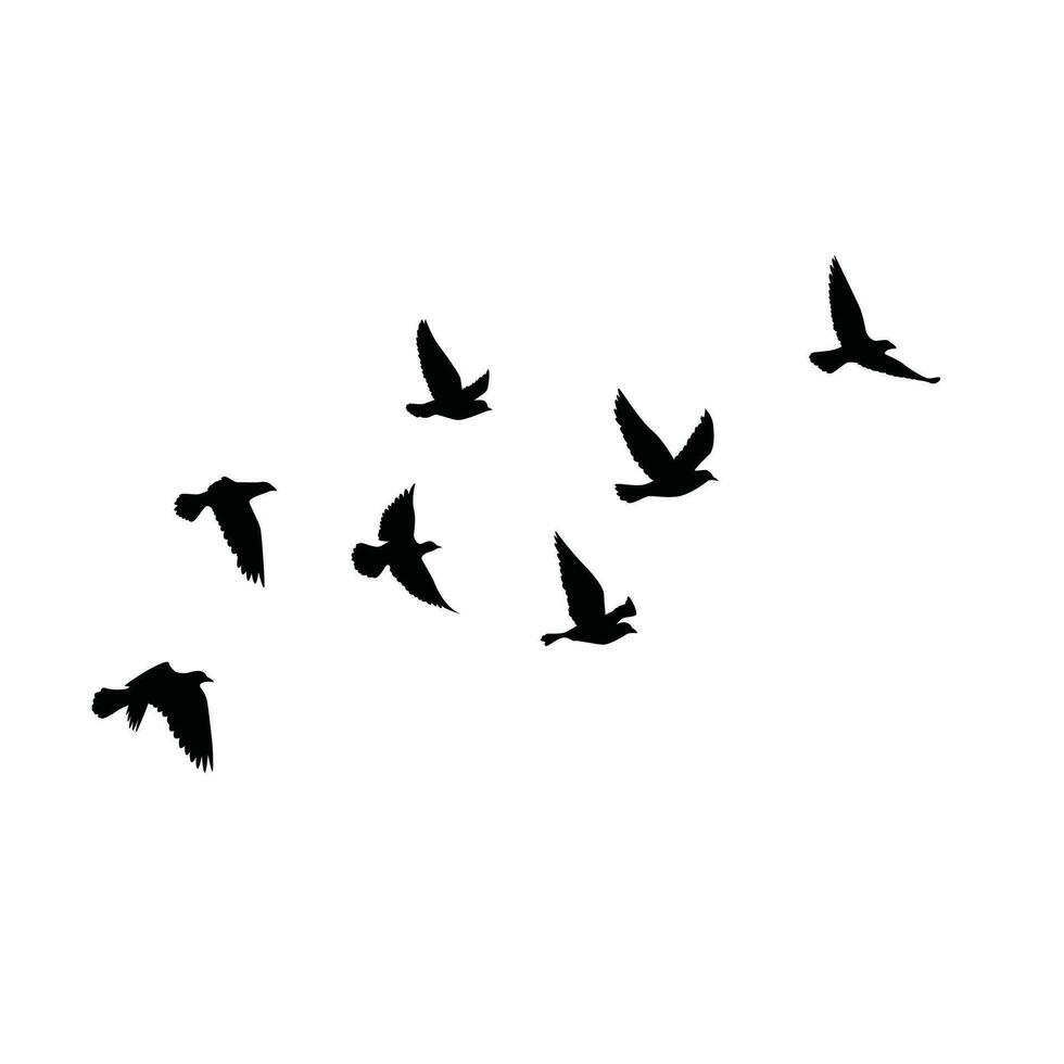 Flying birds silhouettes pattern wallpaper. Vector illustration. isolated bird flying. tattoo design. template for card, package, and wallpaper.