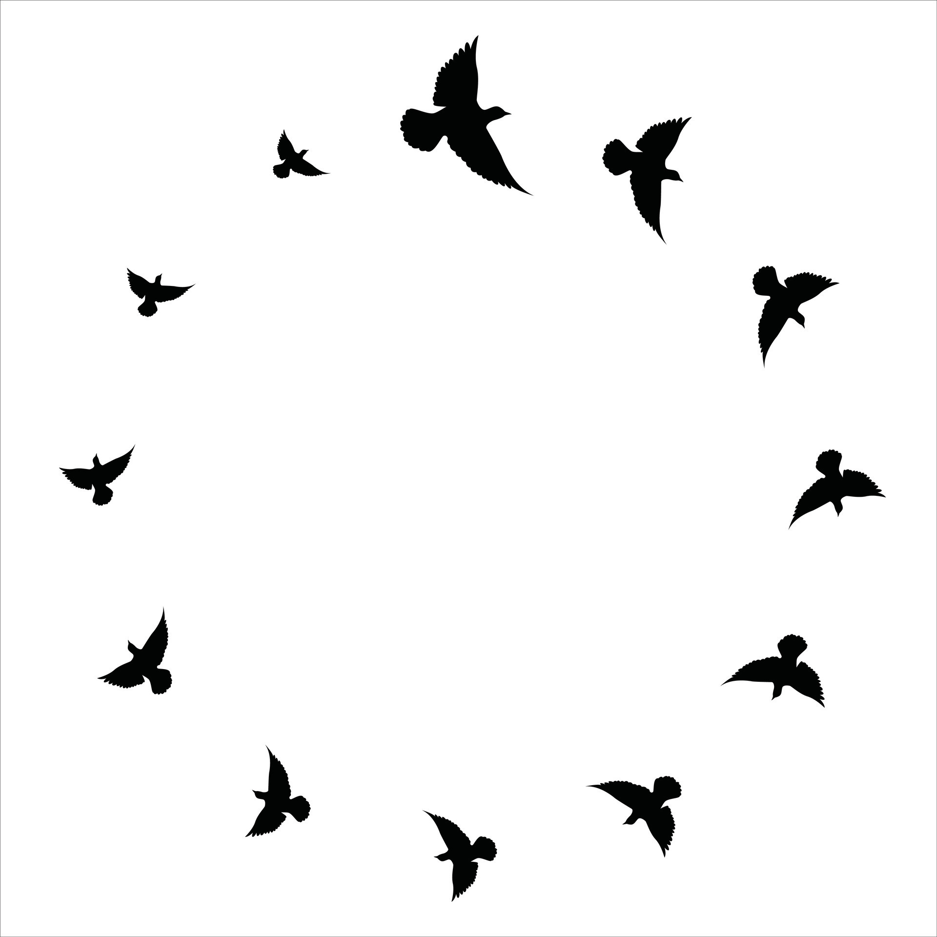 Flying birds silhouettes pattern wallpaper. Vector illustration. isolated bird flying. tattoo