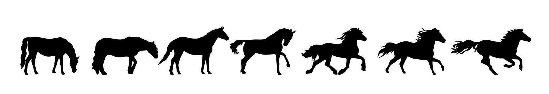 Horse different poses in silhouette. Set of wild stallion. Domestic mustang animal lives in a farm. Vector illustration pony