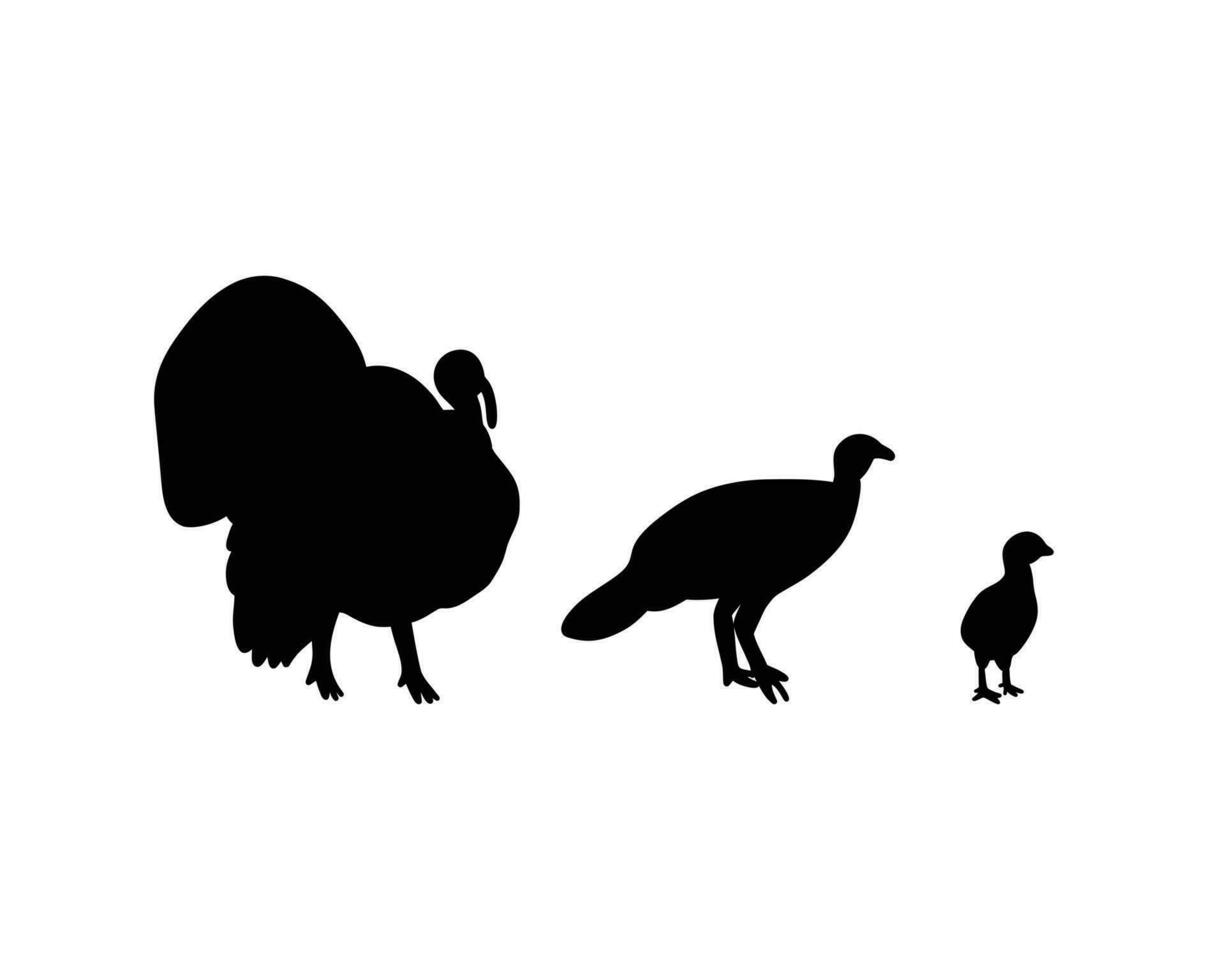 familia de Turquía con Turquía polluelo. símbolos de cosecha, peregrinos y acción de gracias día. vector ilustración en silueta estilo. pájaro carne. Doméstico granja animal