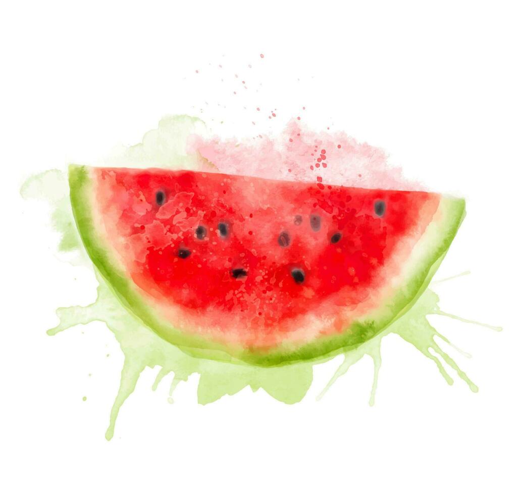 Watercolor fresh summer illustration of watermelon. Isolated illustration on a white background, for postcards, patterns, and textiles. vector