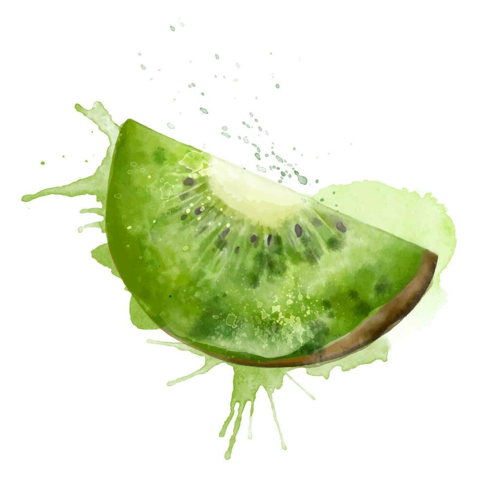 Watercolor fresh green summer illustration of kiwi. Isolated illustration on a white background, for postcards, patterns, and textiles. vector