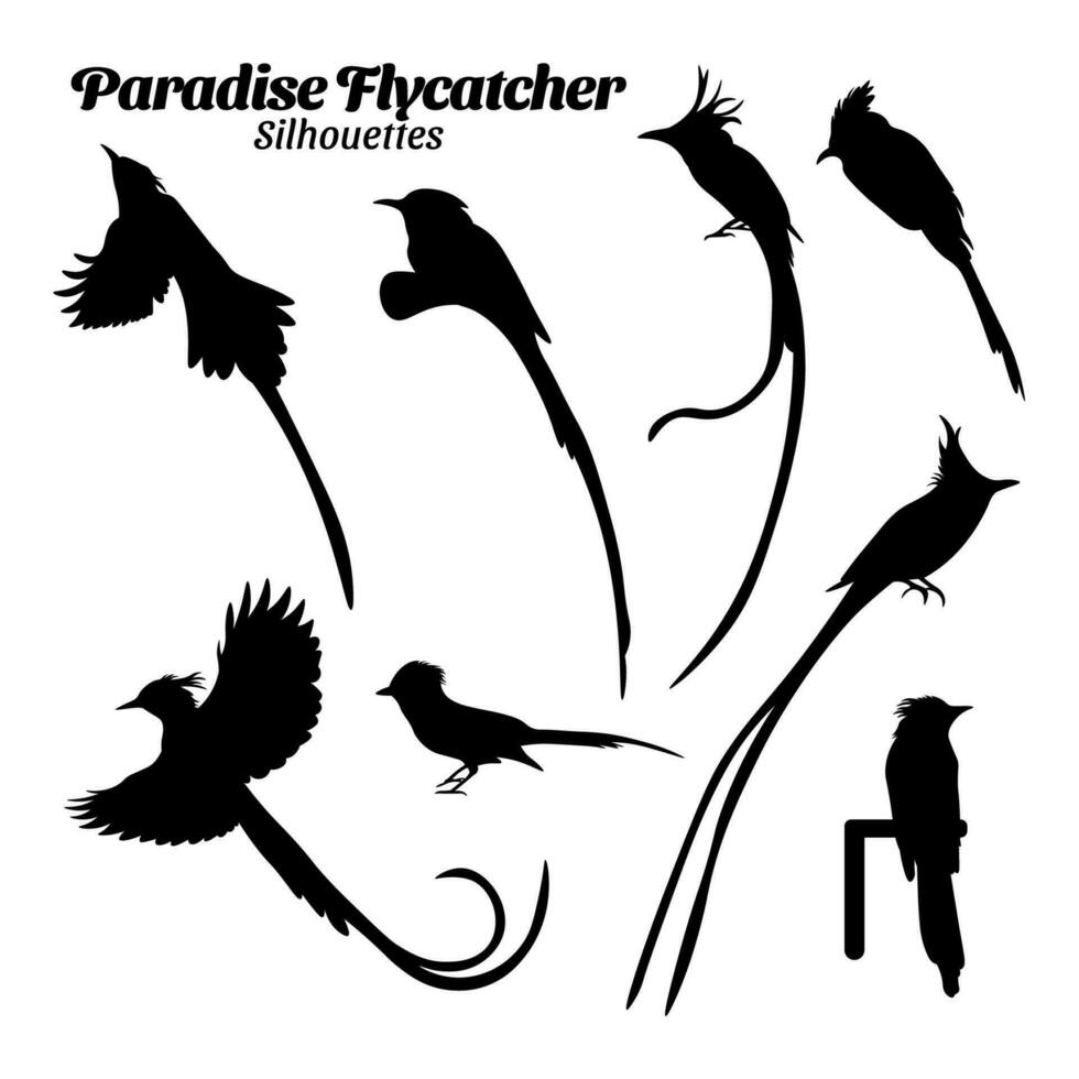 Paradise flycatcher bird silhouette vector illustration set.