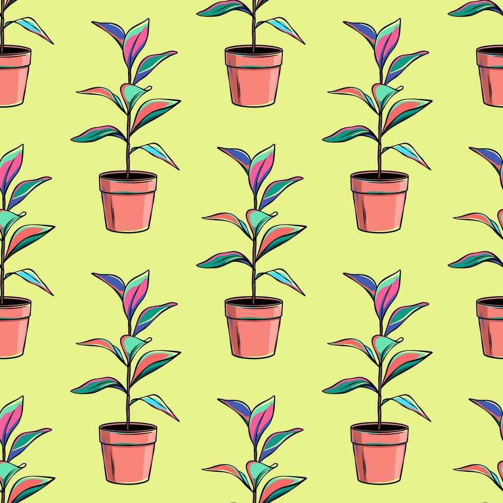Pot plant, ficus seamless pattern, background vector
